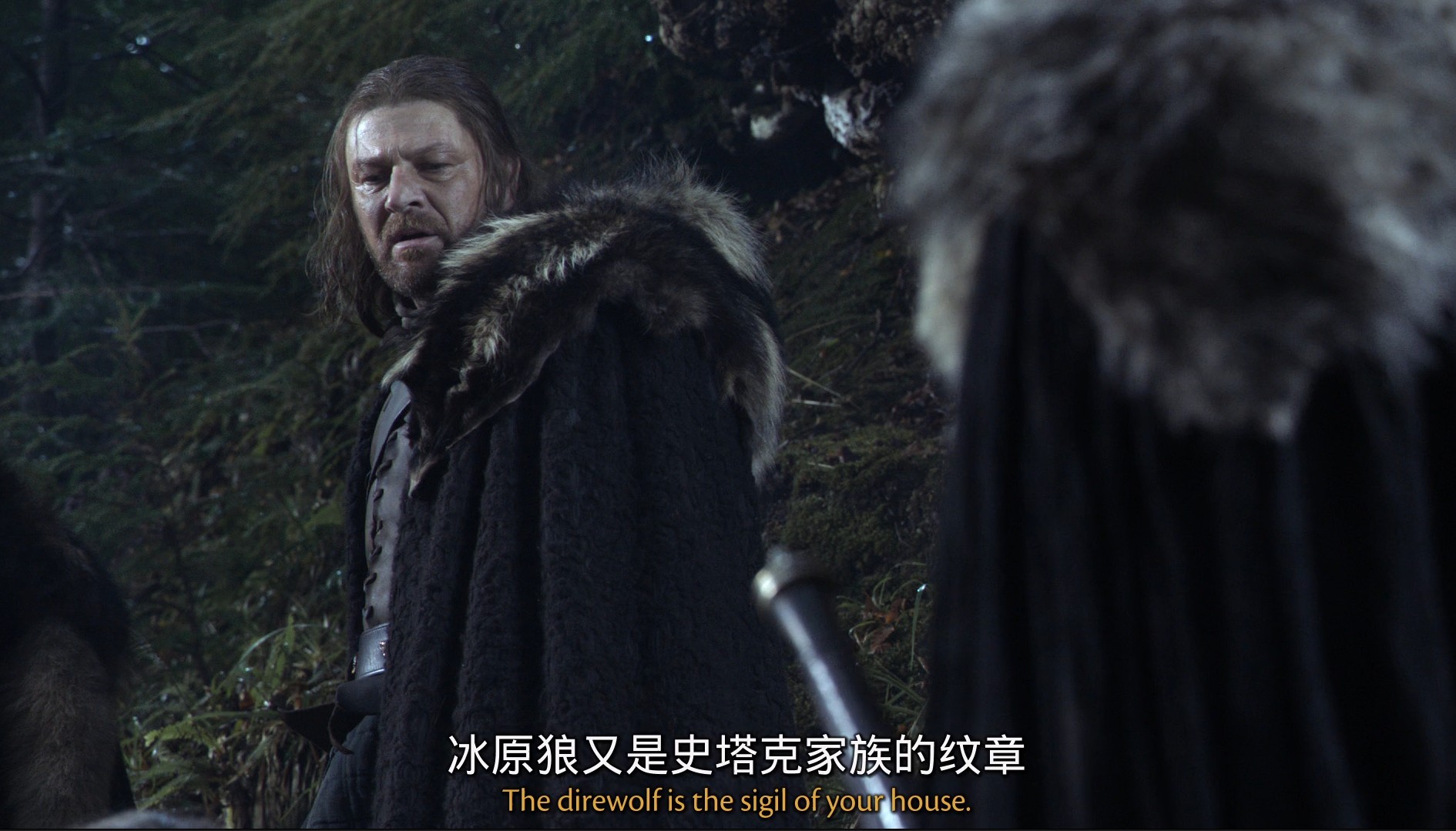 图片[3]-史诗级美剧 《权力的游戏》1-8季合集 无删减 1080P 内嵌简英特效字幕! - 我的百宝箱-我的百宝箱